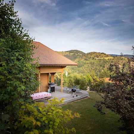 Chalet Skadi La Bresse Bagian luar foto